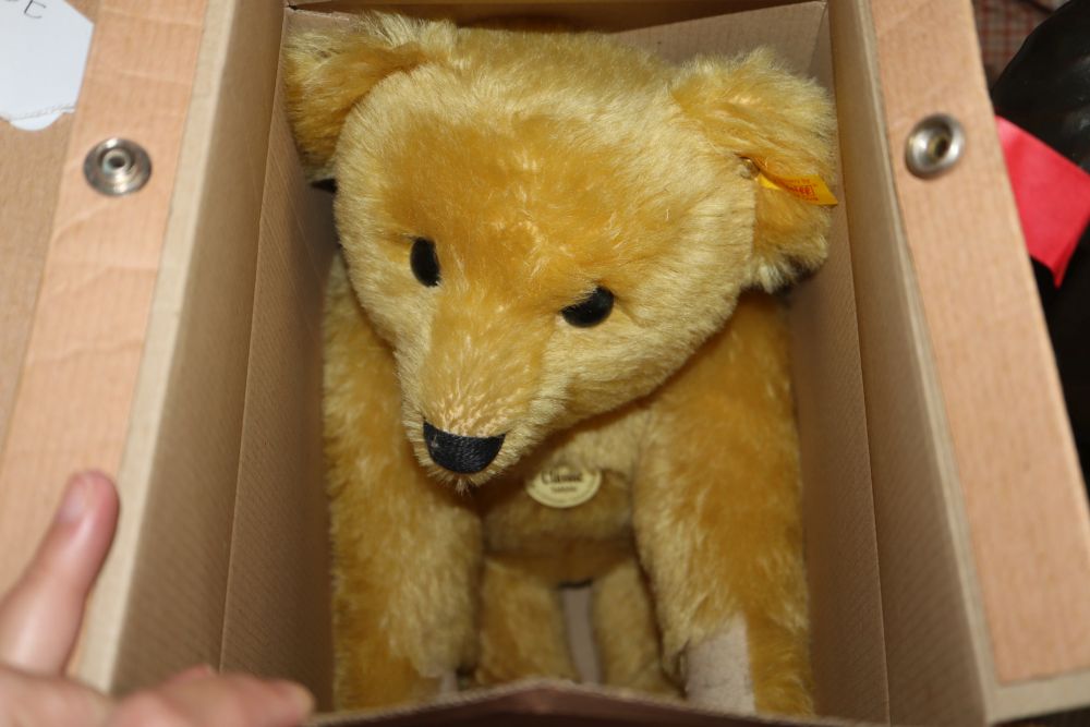 Two Steiff classic yellow tag bears, boxed